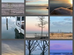 Colors in January