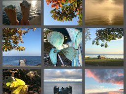 Goodbye October - Denmark