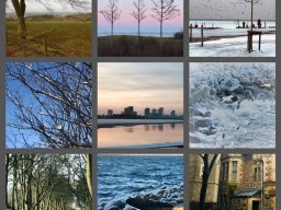 Memories from March
