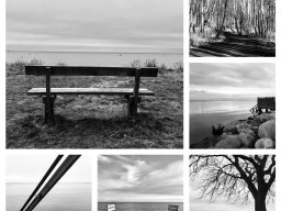January in Black and White